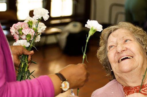 Nelson Tasman Hospice